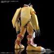 [IN STOCK] Digital Monster Digimon Figure-Rise Standard WarGreymon